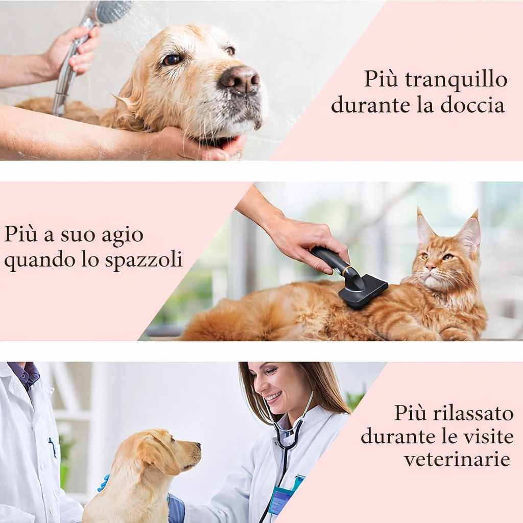 LICK MAT PARA PERROS Y GATOS