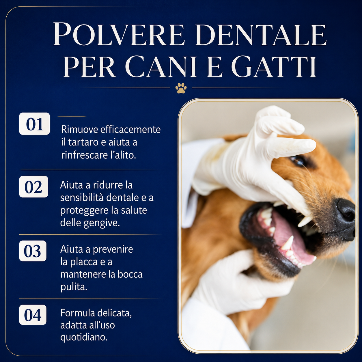 BREATHBUDDY® Advanced dental powder