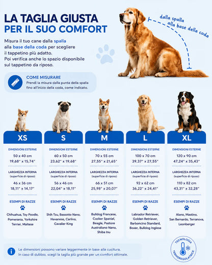Mottys FreshNap™ - Comfort e Freschezza per il tuo Cane