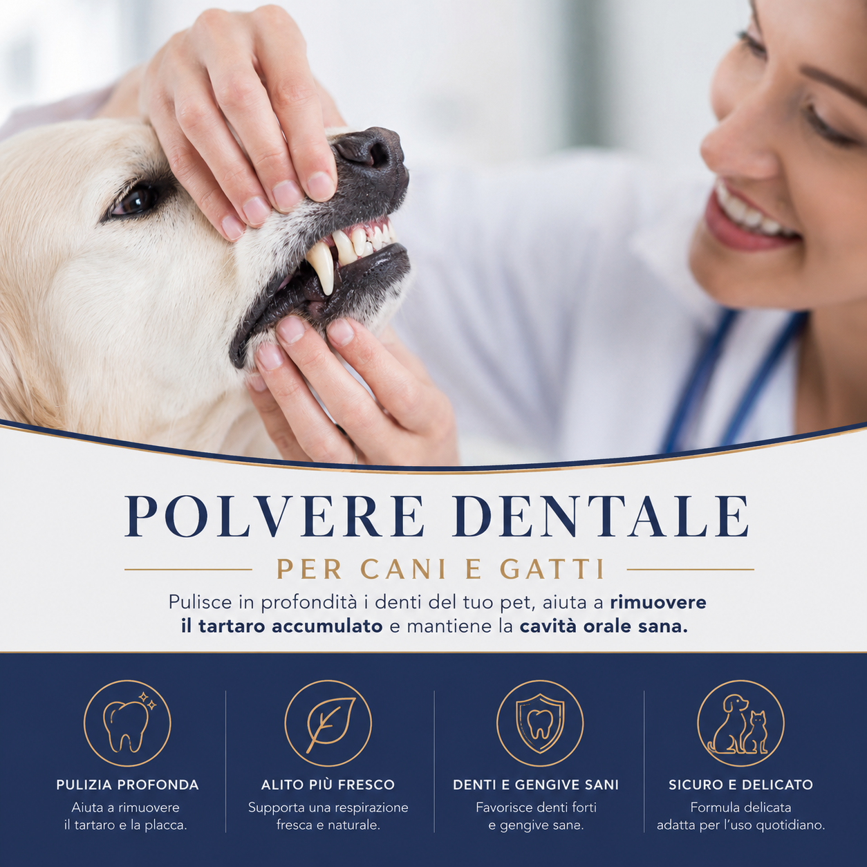 BREATHBUDDY® Advanced dental powder