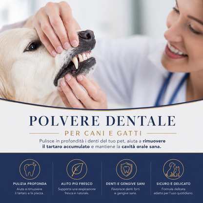 BREATHBUDDY® Advanced dental powder