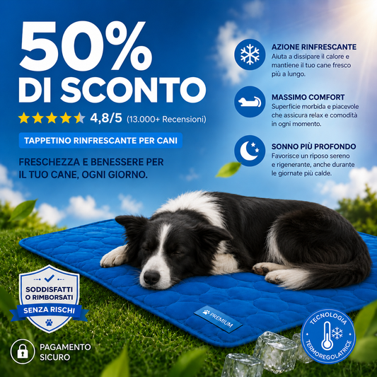Mottys FreshNap™ - Comfort e Freschezza per il tuo Cane